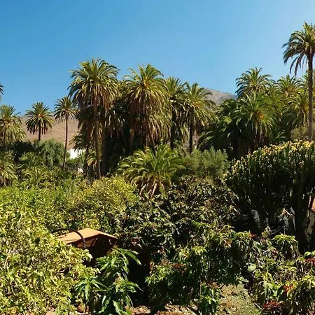 La Fuente De La Flora *