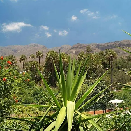 La Fuente De La Flora Santa Lucia De Tirajana