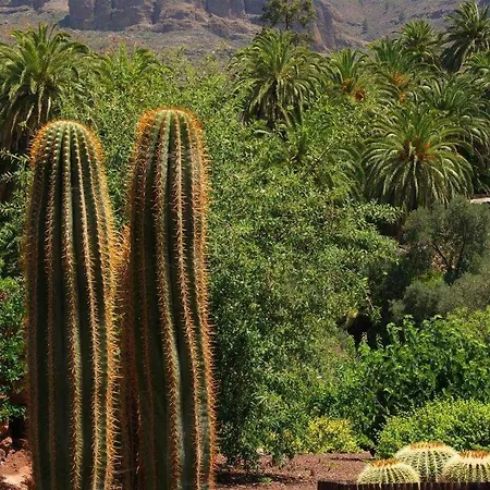 La Fuente De La Flora *